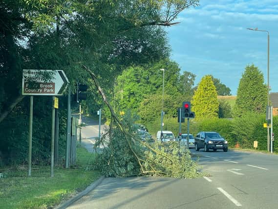 The fallen tree pictured blocking part of Chesterfield Road at the junction with Staveley Road