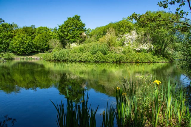 Here's a serene scene, snapped by Ripley's Dave Long, showing Kenning Pond at Clay Cross.