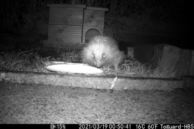Gemma is urging other residents to be more aware of the wildlife in their garden.