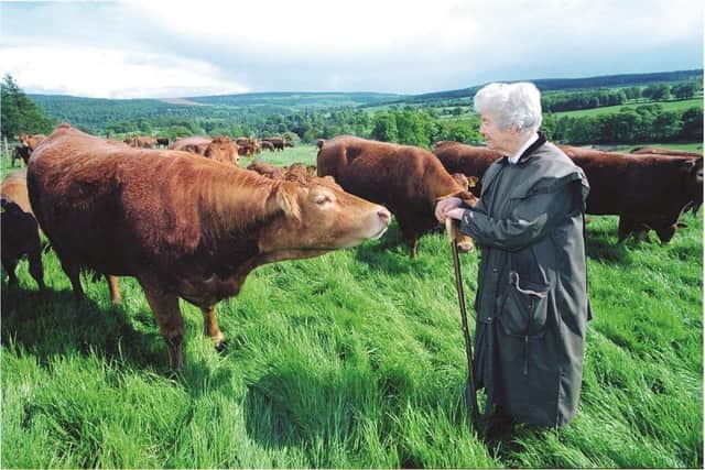 Founder of Chatsworth Farmyard, Duchess Deborah, with cows on the farm. (Pic credit: Chatsworth House Trust)