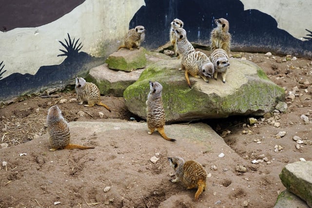 21 pictures show adorable animals and family activities at Matlock Farm ...