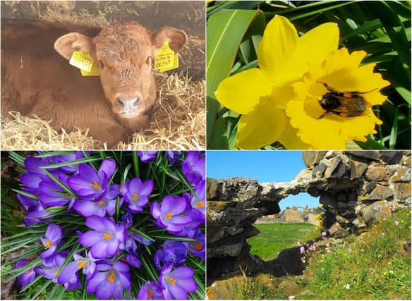 Your spring pictures have brightened up our week!