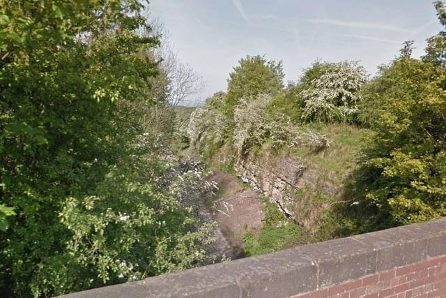 This  five-mile route which connects Creswell, Clowne and Woodthorpe passes through railway cuttings which have geological interest and are home to interesting plants and animals.