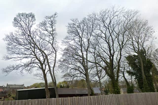A planning application for general maintenance works involving 10 trees and the felling of four trees has been approved by to Bolsover District Council.
