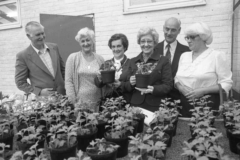 The Summerbell Allotment Association on Wearside was hailed 'Best in Britain' by the Mayor of Sunderland in 1983. Can you spot someone you know in this photo?