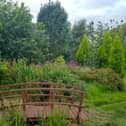 Mastin Moor Garden and Allotments is a new supporter of the  National Garden Scheme open days and will welcome visitors on July 29 and 30.