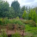 Mastin Moor Garden and Allotments is a new supporter of the  National Garden Scheme open days and will welcome visitors on July 29 and 30.