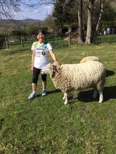Cheryle Berry, of Clay Cross, run a marathon around her garden accompanied by her three pet sheep.