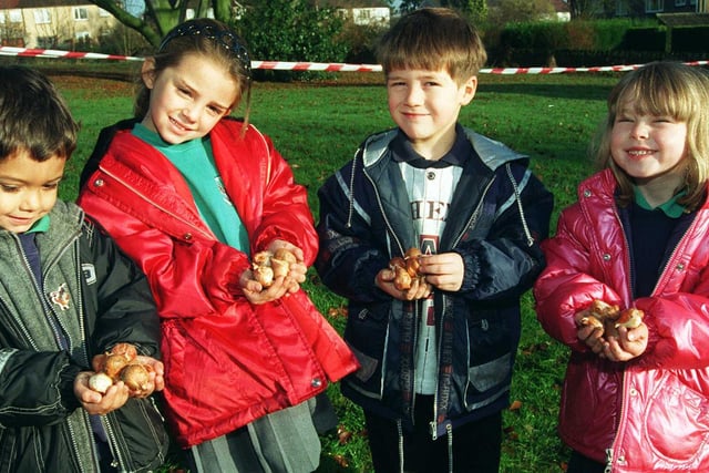 Abbeydale Garden Company handed over 500 bulbs for the children at the school to plant in 1997. Seen are children as they prepare to plant LtoR are, Jamal Bingham four, Holy Aldersley five, Andrew Hibberd five, and Jessica Woollen.