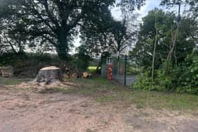 Residents have expressed their shock over the loss of the tree.  Credit: Paul Fox