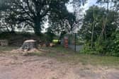Residents have expressed their shock over the loss of the tree.  Credit: Paul Fox
