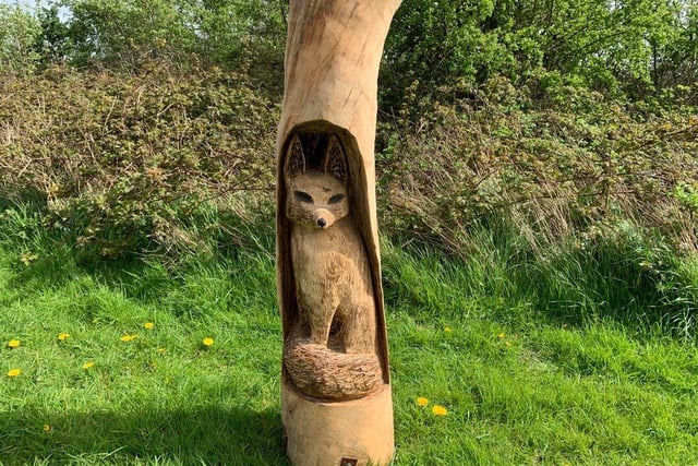 This is the first time Ben has carved a fox.
