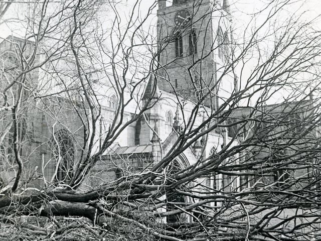 Trees blown over near Chesterfield's iconic Crooked Spire.