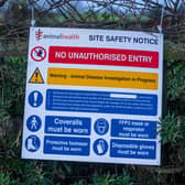 Restrictions have been placed on the movement of poultry after a case of bird flu was confirmed in Derbyshire. Image for illustration only. Photo: James Hardisty.