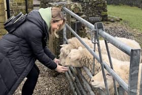 Leala and Mick got the chance to feed Jane's four sheep, Pinky, Perky, Pia, and Peanut.