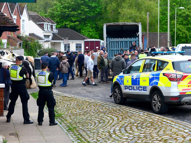 A large crowd turned up for the Wickham Horse Fair today despite it being cancelled. Picture: Roger Arbon/Solent News & Photo Agency
