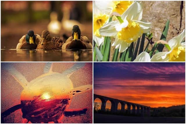 Wonderful spring photos from our Instagram.