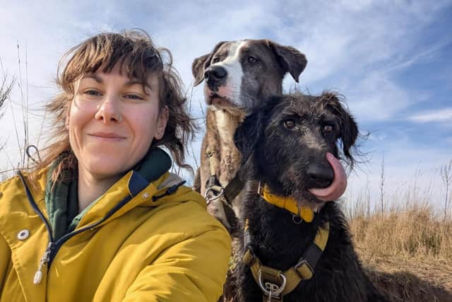 Chesterfield woman issues warning after her dogs suffer toxic effects ...