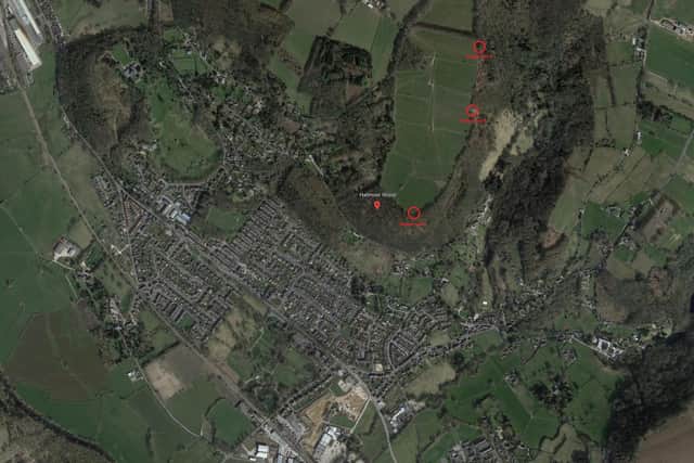 Badger setts, circled in red, have been recorded close to the woodland entrance and former quarry. (Image: Google)