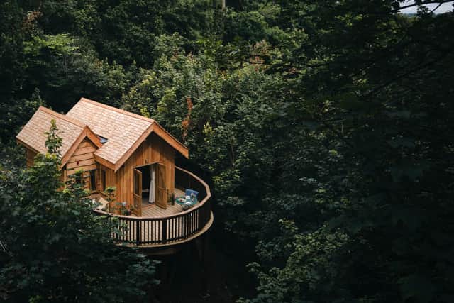 For guests wanting a unique stay, Callow Hall offers treehouses and woodland hives.
