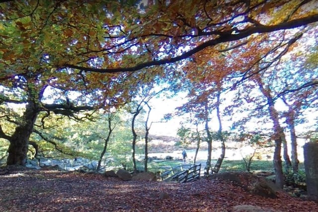 Finally, take a trip out to Padley Gorge and Longshaw where you can find a 4.7 kilometre loop trail located near Hope.