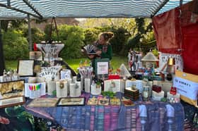 Helen Taylor at one of Bookadelia's recent pop-up stalls. (Photo: Contributed)