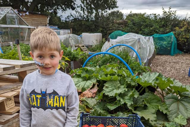 James has been trying to prioritise time between the garden and the allotment while working full time and trying to navigate their way through Oscar's leukaemia treatment.