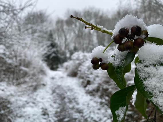The snowfall has transformed Derbyshire overnight