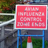 The number of bird flu cases in Derbyshire has spiked.
