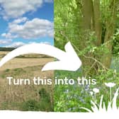 What the future site at Whittington will look like if the Derbyshire Wildlife Trust appeal is successful.