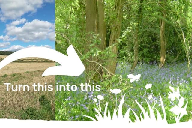 What the future site at Whittington will look like if the Derbyshire Wildlife Trust appeal is successful.