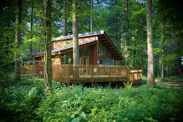 One of the luxurious forest cabins.Image: Forest Holidays
