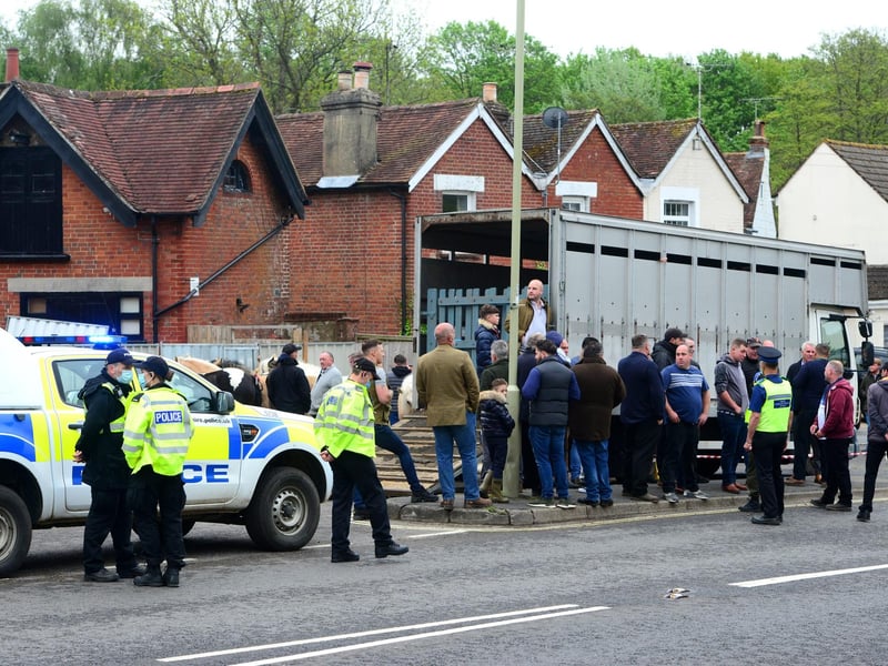 A large crowd turned up for the Wickham Horse Fair today despite it being cancelled. Picture: Roger Arbon/Solent News & Photo Agency
