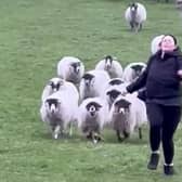 Chloe Jervis was chased down a hill by a flock of sheep in  in Edale