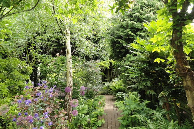 26 Windmill Rise, Belper, DE56 1GQ is a lush plot with Japanese, cottage and edible gardens, ponds, a small stream, woodland and a secret garden. Open day on July 21 from  from 11.30am to 4pm. Admission £3, free entry for children.