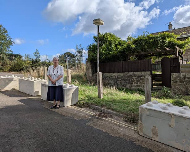54 large concrete Lego-like blocks were arranged in a narrow channel to allow vehicle access to Mrs Ball’s property. Despite its refusal to provide all other costs, the authority has said these blocks cost £7,700. Image from Eddie Bisknell.