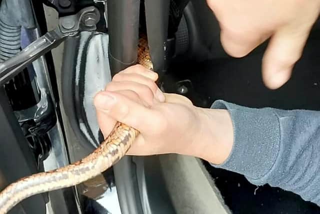 The driver pulled  over at a service station in Derbyshire after spotting the stowaway.