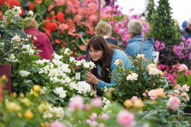 The floral marquees are a big draw at RHS Chatsworth Flower Show.