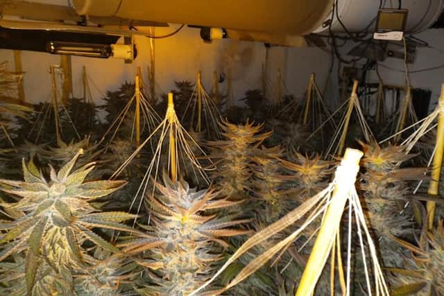 Police officers have discovered a three-floor cannabis farm at a Chesterfield home. Image: Derbyshire police.