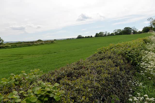 Cutthorpe residents say there are more suitable brownfield areas for development in Chesterfield.