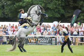 Atkinson Action Horses make their debut at Chatsworth Country Fair (photo: MIchael Hopps)