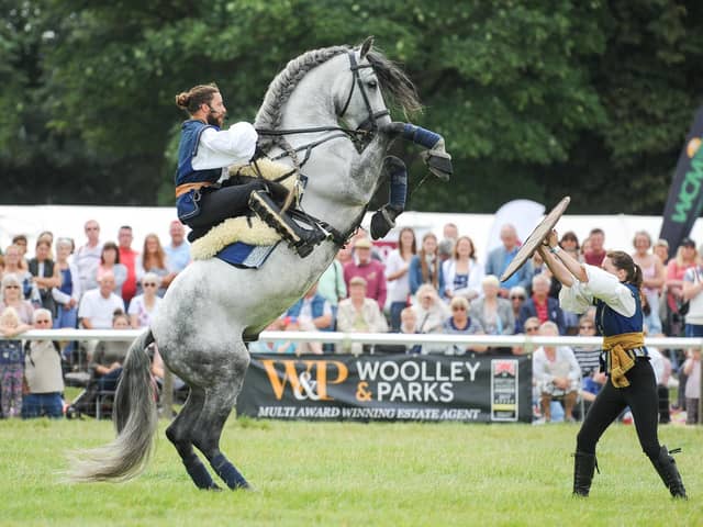 Atkinson Action Horses make their debut at Chatsworth Country Fair (photo: MIchael Hopps)