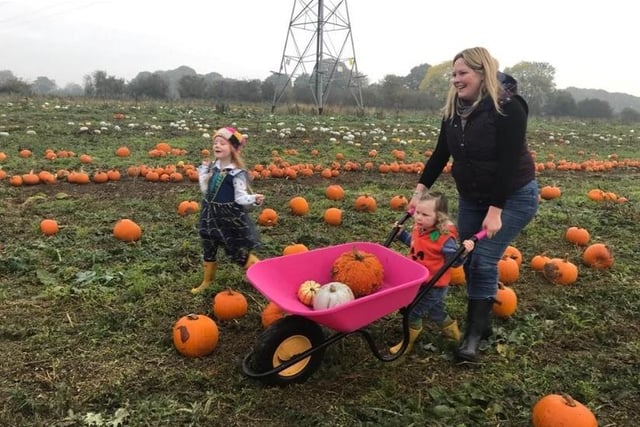 Mr Pumpkin at Lime Farm, Mansfield Road, Morley is open on selected dates and times between October 1 and 31.