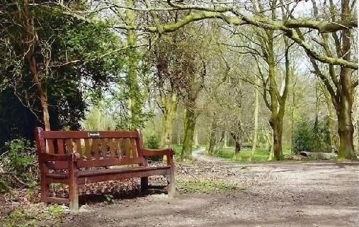 Shipley Country Park at Slack Lane, Heanor is launching its Winter Wildlife Trail on January 1. Track down the clue cards along the one-mile route to help you complete the activity sheet and receive a certificate! The wildlife trail is open until January 7 from 10.30am until 2pm. Entry is £1.50 per child who must be accompanied by an adult.