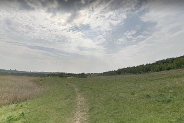 Take a trip out to Gedling Country Park where you will find a 7.4 kilometre loop trail located near Nottingham.