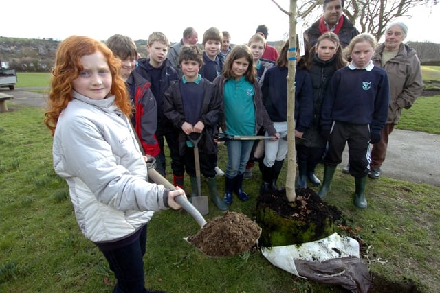 Pupils planting trees at Green Oak Park, Totley. Pictured foreground is Daisy Waugh, 10, back in 2009