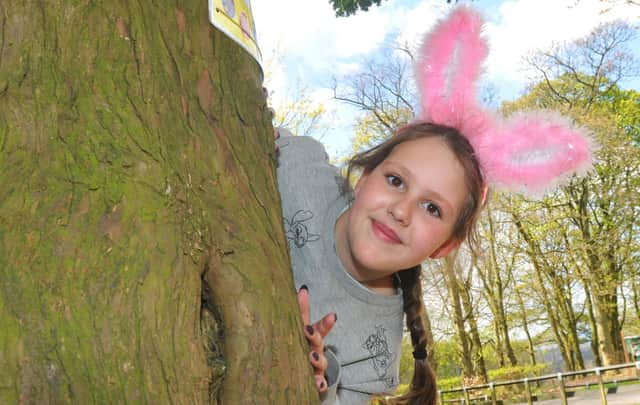 There are plenty of things to do in Sheffield this Easter