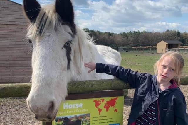 Plenty to see and do expecially for young children as Matlock Farm Park ...