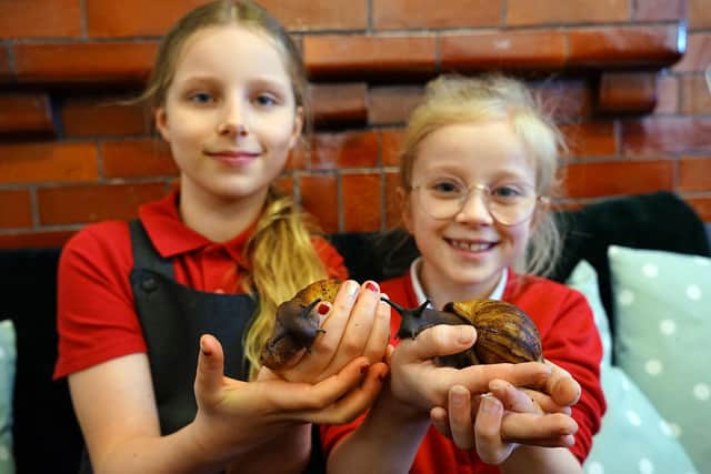Chatsworth class pupils holding giant African land snails Slip and Slide