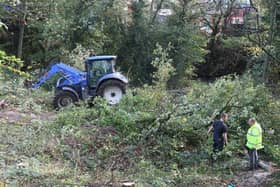 Contractors at work clearing the woodland by the Peak Forest Canal on Friday, October 28.
